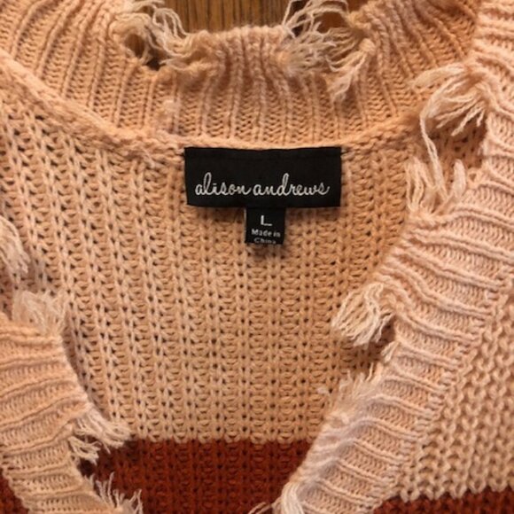 Alison Andrews Distressed Womens pullover striped sweater Size L - Picture 3 of 5